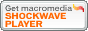 Macromedia Shockwave